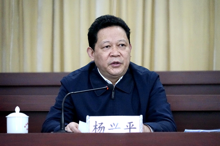 杨兴平作重要讲话.jpg 杨兴平作重要讲话.jpg