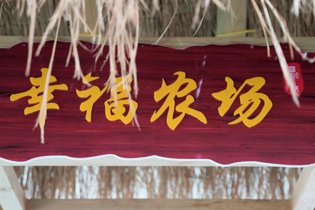 8aa8c64eb9144407ab48df3c60f21912.jpeg 8aa8c64eb9144407ab48df3c60f21912.jpeg