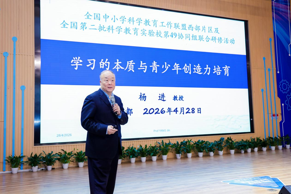 图片5